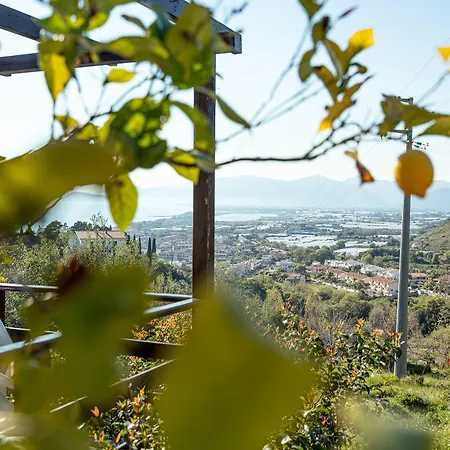 Belvedere 3*