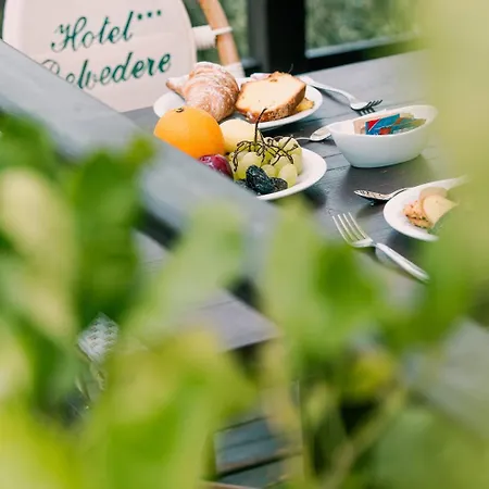 Belvedere Hotell 3*