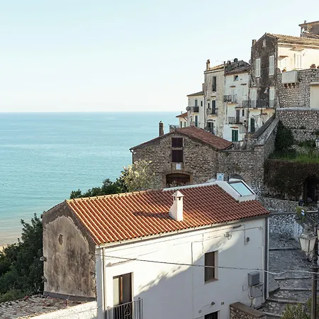 Belvedere 3*