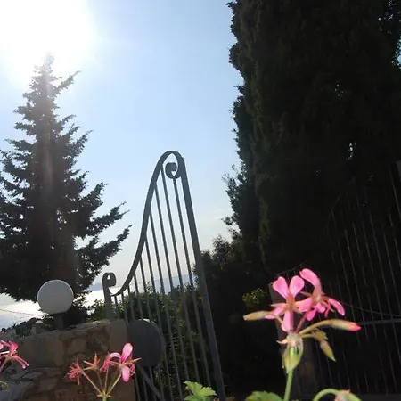 Belvedere מלון 3*